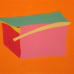 Homestead Losing Roof No. 2 - C. Carraher 2016