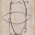 Voyage of the Beagle - C. Carraher 2001