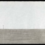 cell tower; Mojave native runners; smoke trees in the wash; real estate - C. Carraher 2007